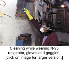 Man cleaning mold while wearing N95 mask.